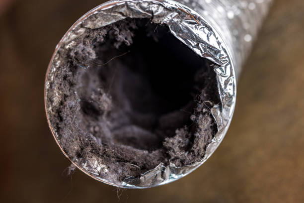 Best Duct Cleaning for Homes  in Broadlands, VA